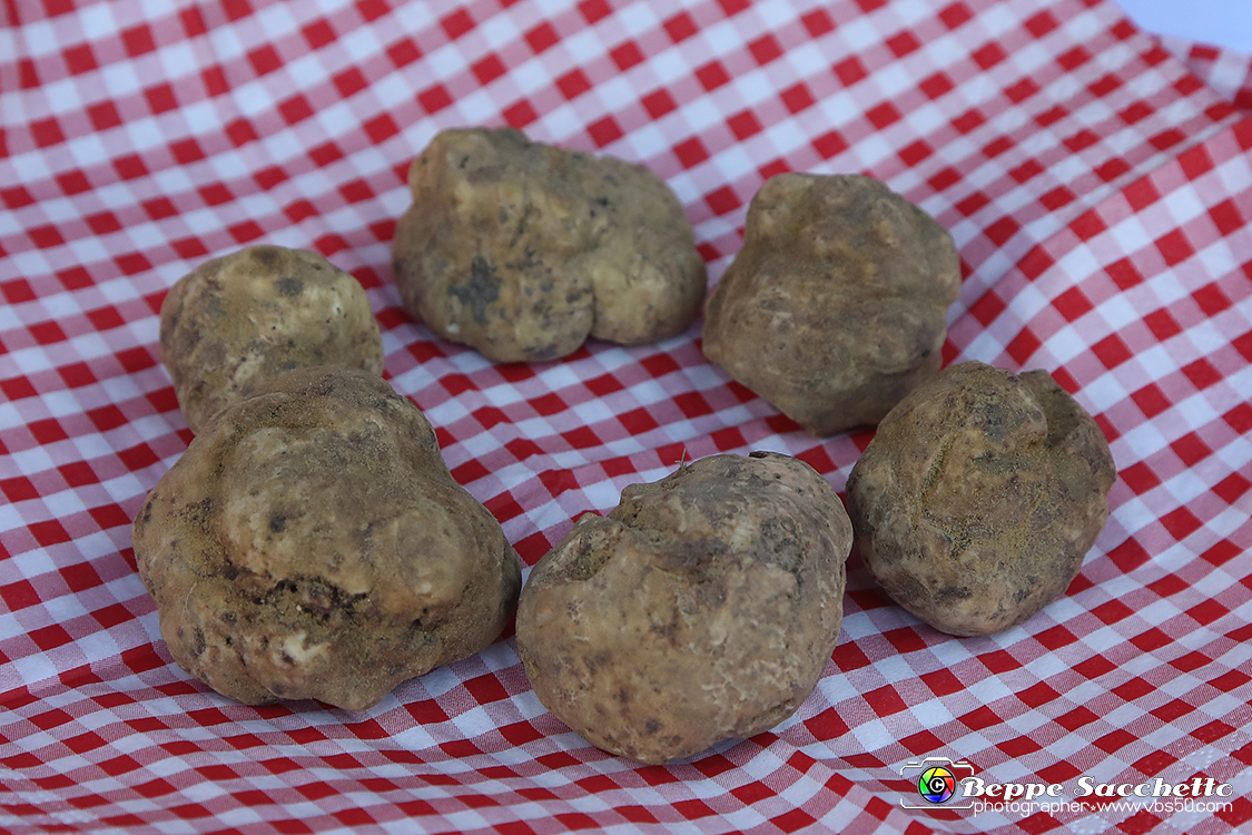 VBS_5565 - 10.ma Fiera Nazionale del Tartufo e Fiera dei Santi.jpg